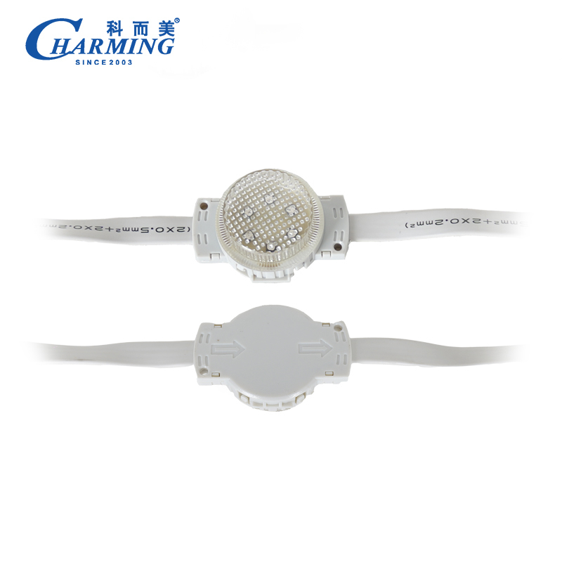 IP66 방수 고휘도 LED 픽셀 라이트 40x27.3mm 포인트 라이트 40D (크리스마스 및 건물 장식용)