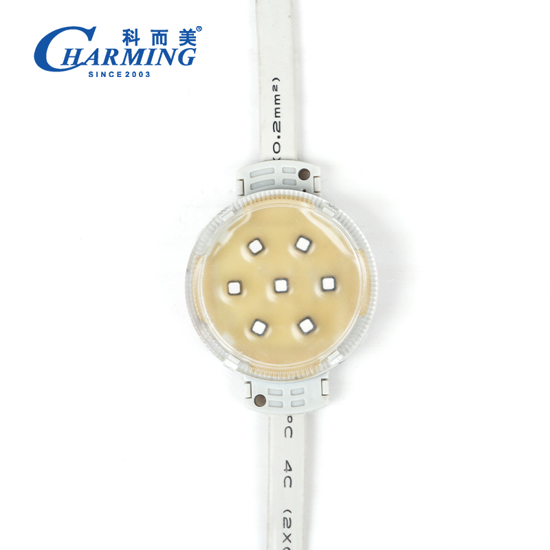 방수 SPI 50C 픽셀 라이트 아웃도어 스테이지 사용 모델 SMD3535 IP66 외관 벽 장식